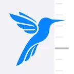 FlutterTime Timezone Converter iOS Icon