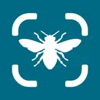 Insect Bug Identifier iOS Icon