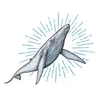 이지패스 SQLD icon