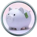 365-Day Savings iOS Icon