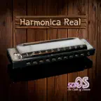 Harmonica Real Pro icon