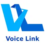 Voice Link App iOS Icon