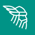 Brennus à Vélo Icon