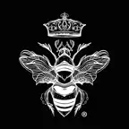 Agave & Rye: Epic Tacos iOS Icon
