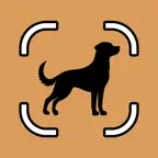 Dog Scanner Breed Id Dogbud iOS Icon