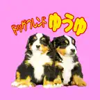 ドッグフレンドゆうゆ iOS Icon