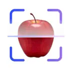 CalorieHero iOS Icon