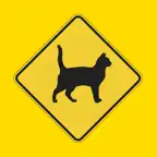 Driving.Cy - Cyprus Road Signs iOS Icon