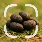 Droppings Identifier iOS Icon