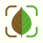 Planture・Plant Identifier Care iOS Icon