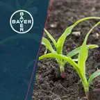 Bayer Crop Science HU iOS Icon