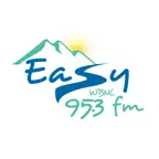 Easy 95 iOS Icon