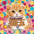 Strategy Puzzle Cat Ball Icon