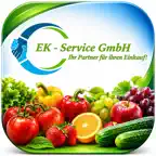 Ek Service Icon