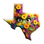 my inner Texan emoji iOS Icon