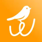 Wild Vision iOS Icon
