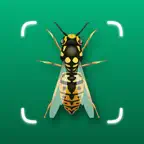 Identify Insect - Bug Finder iOS Icon