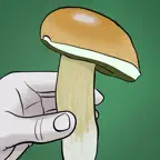 Mine svampesteder iOS Icon