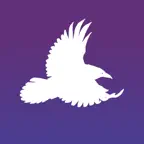 Crow Watches icon