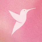 Colibri Academy Icon