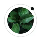 Plant Health Care・AI Identify iOS Icon