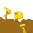 Meine Pilze iOS Icon