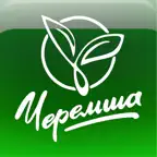 Cheremsha cafe iOS Icon