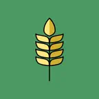 Gluten Free Scanner & Allergy iOS Icon