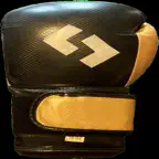 Boxing Drill Companion iOS Icon