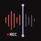 Voice Memos: Audio Notes iOS Icon
