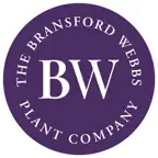 Bransford Webbs iOS Icon
