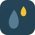 Flow : Payment Manager iOS Icon