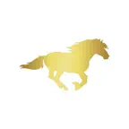 Süvari Kurye iOS Icon