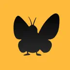 Energy ButterGuy iOS Icon
