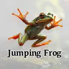 Jappy Frog iOS Icon