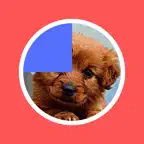 Visual Timer Countdown iOS Icon