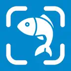 Fish Identifier: Photo ID iOS Icon