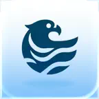 Hawk Player icon