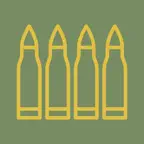 Expert Soldier Badge iOS Icon
