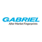 AFP(After Market Fingerprints) iOS Icon