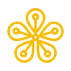 BruneiID iOS Icon