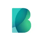 Bigbank icon