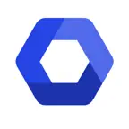 Exagon Salon App iOS Icon