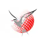 Academia @ Big Academy iOS Icon