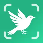 Bird Identifier: BirdScope Icon