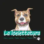 La Toelettatura iOS Icon