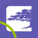 MFC 2025 iOS Icon