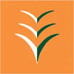 Ibom Air icon