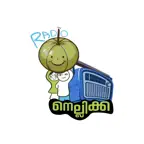 Radio Nellikka iOS Icon
