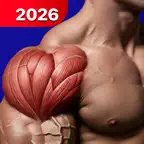 Shoulder Workout at Home Icon